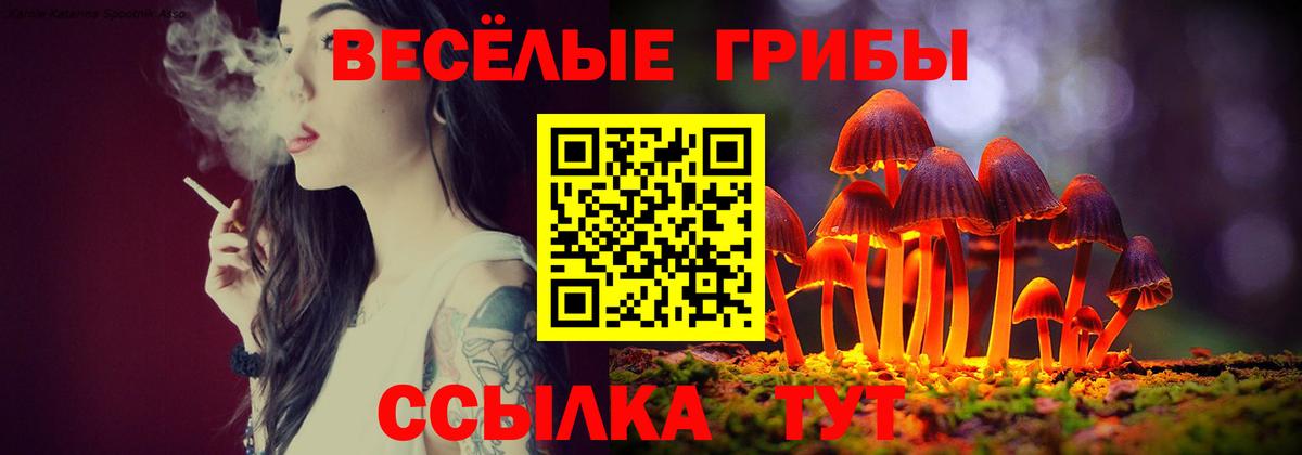 Псилоцибиновые грибы мицелий  Вход с VPN  Светлоград 